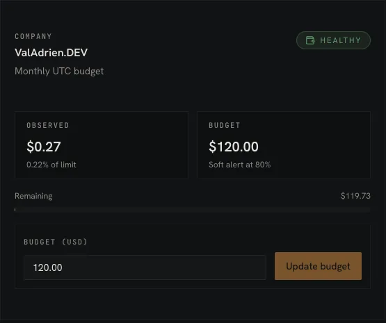 Company budget - observed spend against a hard monthly cap, status healthy